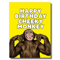 Happy Birthday Cheeky Monkey